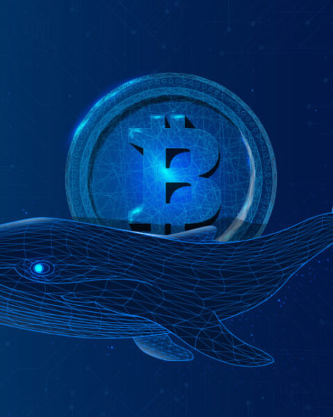 bitcoin-whales-are-buying-the-dip-despite-the-decline-seen-for-btc-1200x675