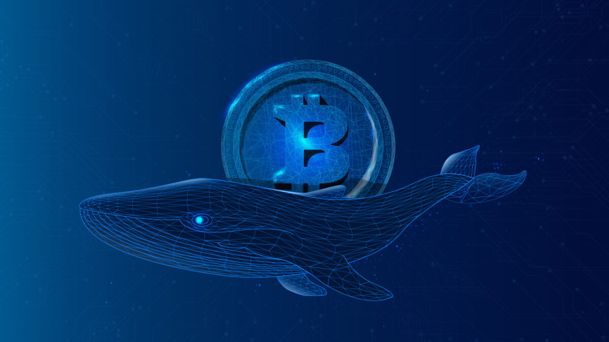 bitcoin-whales-are-buying-the-dip-despite-the-decline-seen-for-btc-1200x675